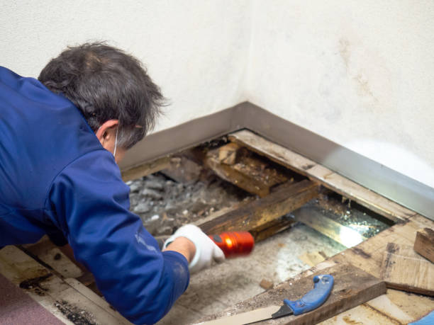 Best Industrial Mold Remediation in Fairview, OK